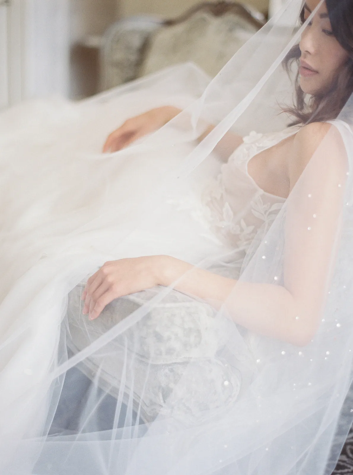 GLAMOUR | Cathedral Wedding Veil with Crystals