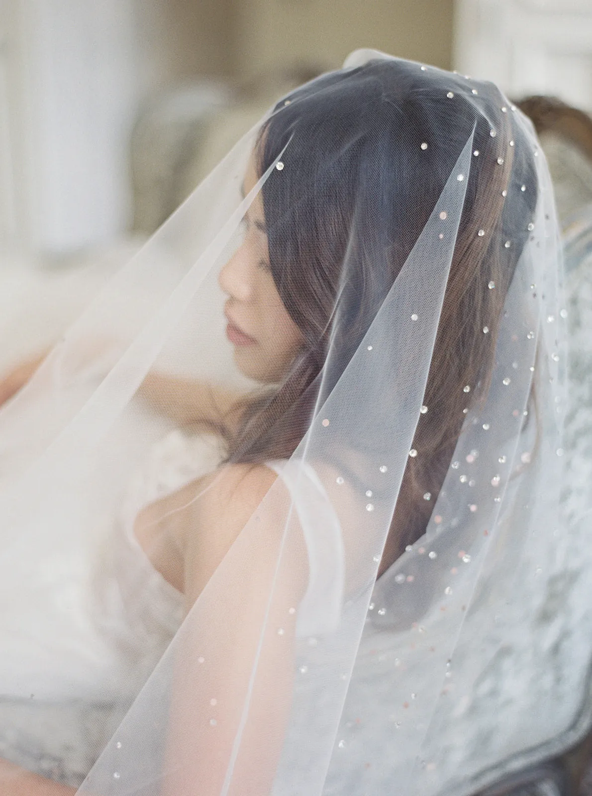 GLAMOUR | Cathedral Wedding Veil with Crystals