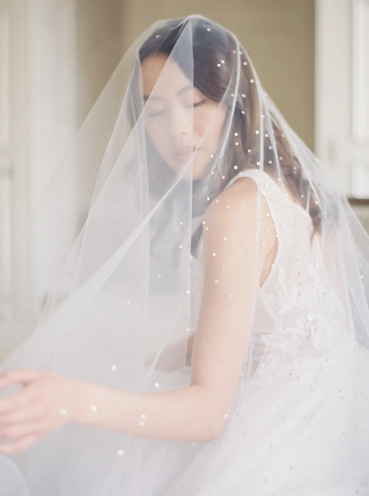 GLAMOUR | Cathedral Wedding Veil with Crystals